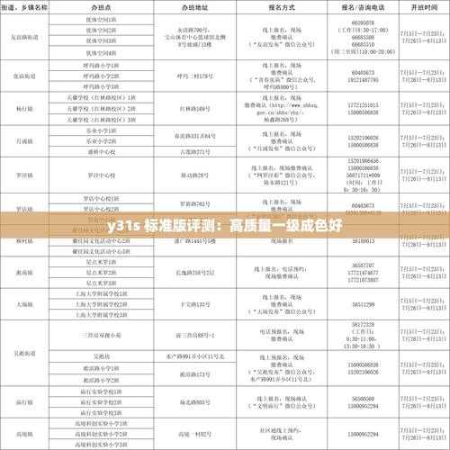 一级成色Y31s标准版全面测评:性能、续航与使用体验深度解析