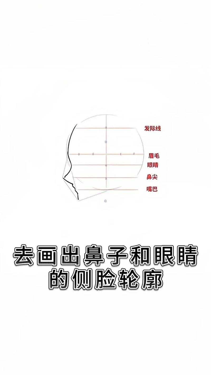 一起学画画:零基础入门教程与技巧分享