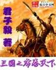 三国之至尊系统 - 百度百科