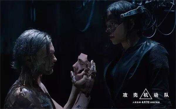 五码帝国视频合集：高清完整版在线观看