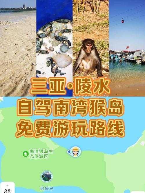 三亚猴岛游记:探秘南湾猴岛生态乐园与猕猴亲密互动攻略