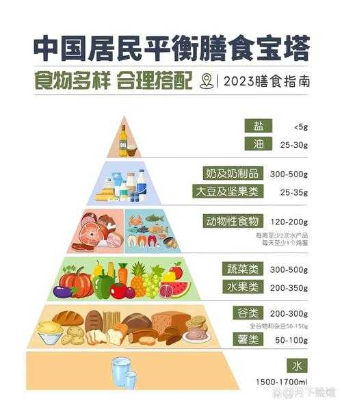 2025年权威发布:科学膳食新标准,科学配餐与均衡营养