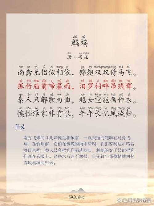 鹧鸪的正确读音及发音技巧
