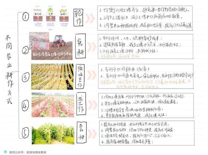 魔法耕地系统全攻略：普通／水耕地的构建与种植全流程解析