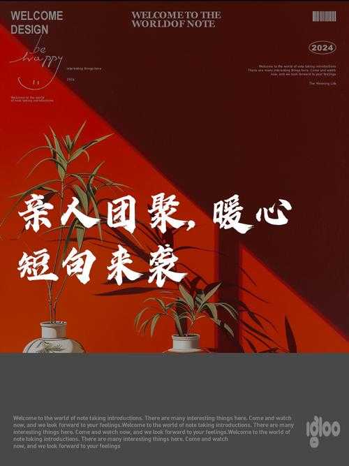团圆再聚首：续写亲情新章