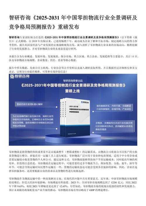 以下是对Delivery物流企业2025年度战略报告的深度分析与建议框架: