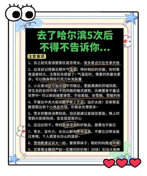 初学者指南：在冰城中生存的秘诀