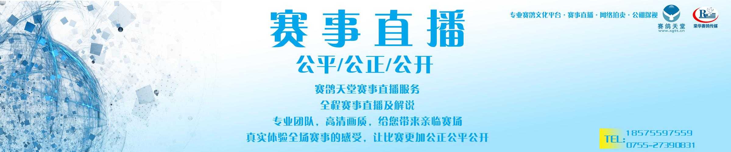 辽宁体育频道在线直播观看_体育赛事高清同步