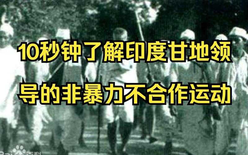 非暴力不合作:和平抗争的智慧与实践