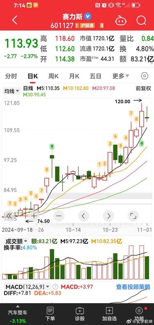 青岛金王股票行情分析与投资策略