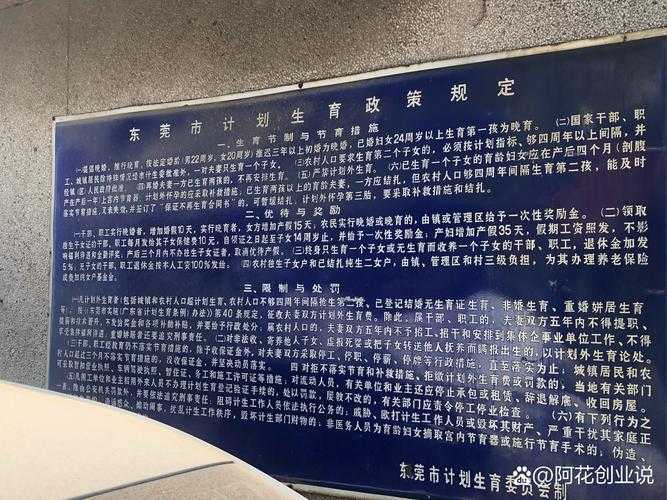 《布林机》停运公告与玩家关怀及迁移