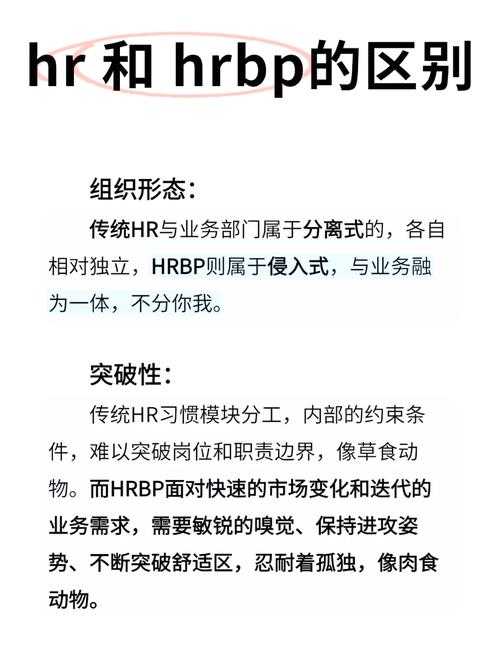 精华区二区对比解析:核心差异与适用场景全解读!