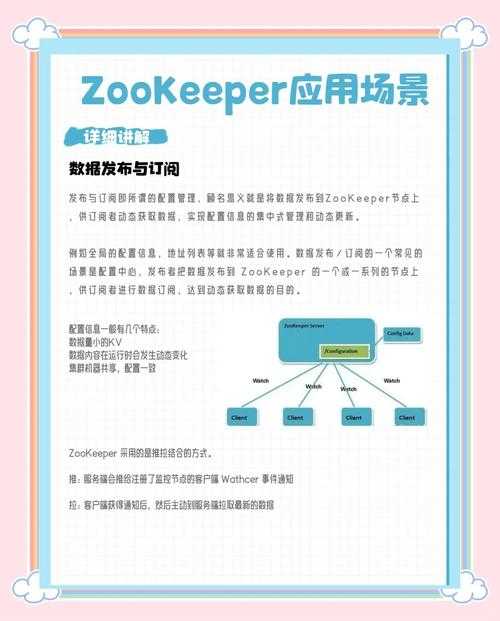 美国ZOOZOON品牌最新动态与产品评测