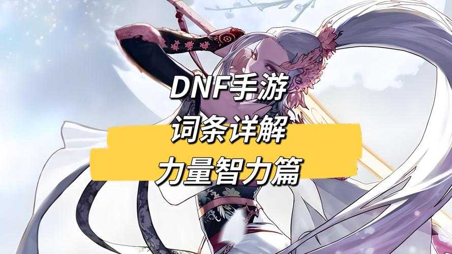 DNF三维度赋能现实:力量·精神·智力突破