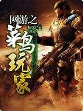 《菜鸟玩家的德军游戏秘籍》