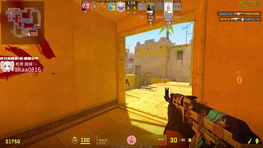 2025 CSGO账号电竞资产全解析