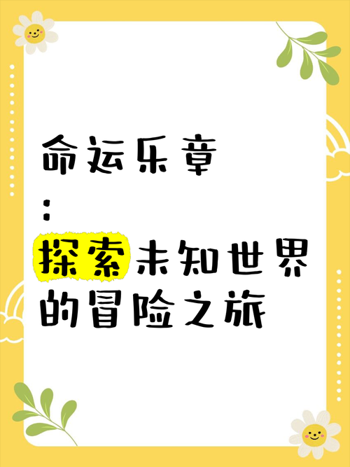 神秘白盒:未知领域的冒险启程