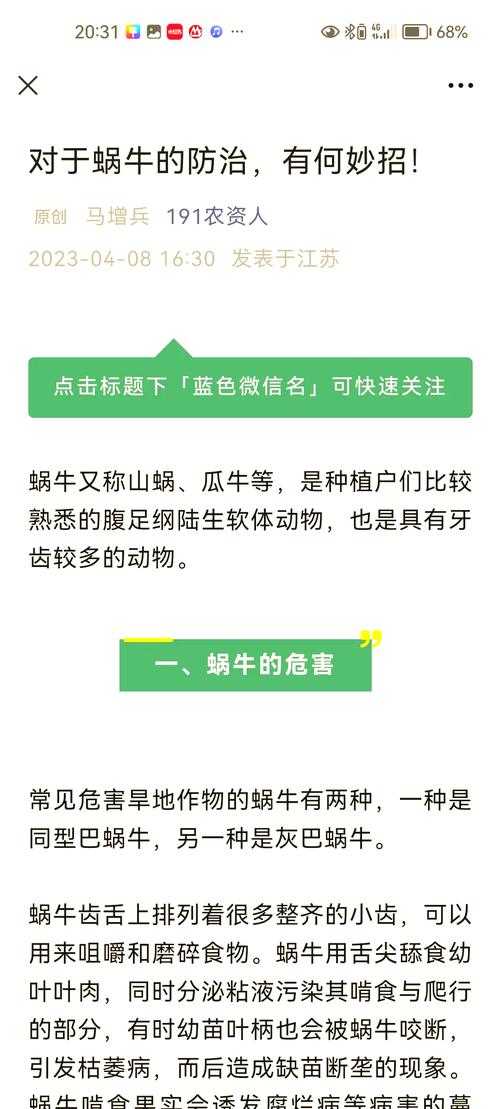 2025福建恶臭海蜗牛入侵生态治理实录