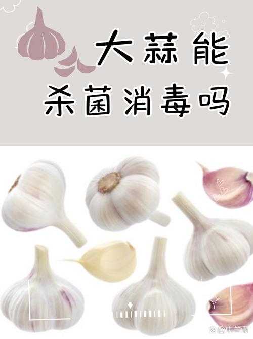 大蒜的10大功效与作用,抗菌消炎降三高