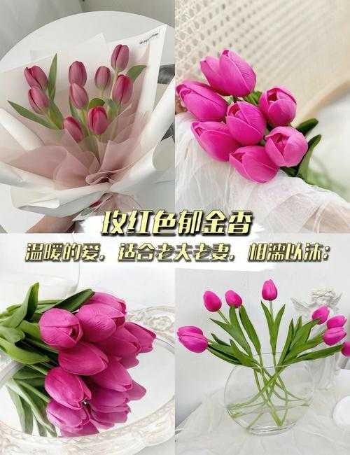 郁金香小姐:我的浪漫花园邂逅