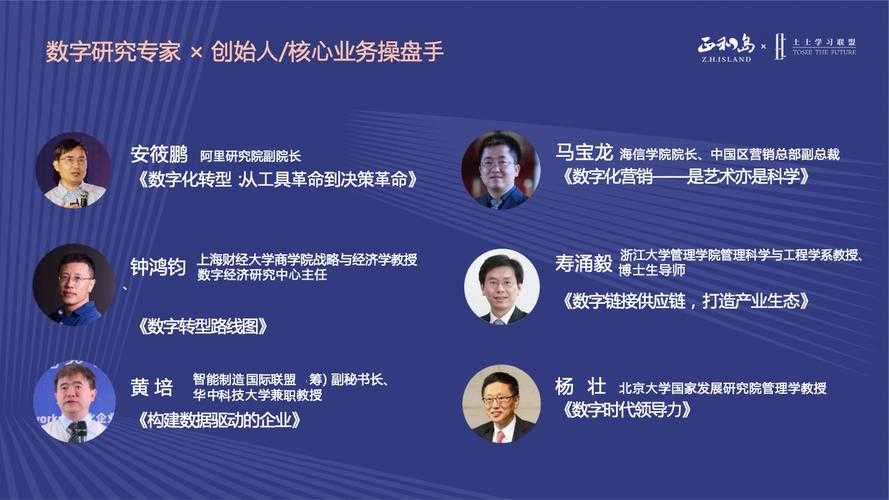金数据:高效数据分析与决策工具